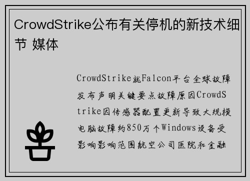 CrowdStrike公布有关停机的新技术细节 媒体
